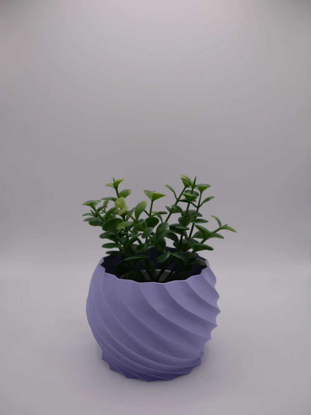 SINUS Lilla
