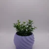SINUS Lilla