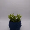 SINUS Blu
