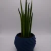SINUS Blu
