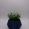 TETRA Blu