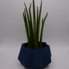 TETRA Blu