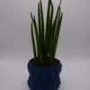 HELICA Blu