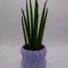 HELICA Lilla