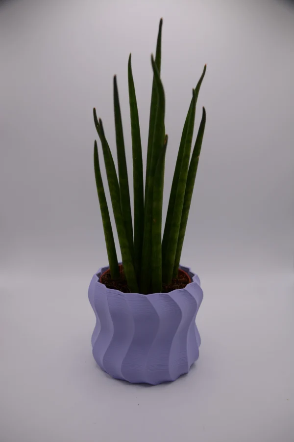 Vaso HELICA Lilla HELICA Lilla