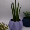 TETRA