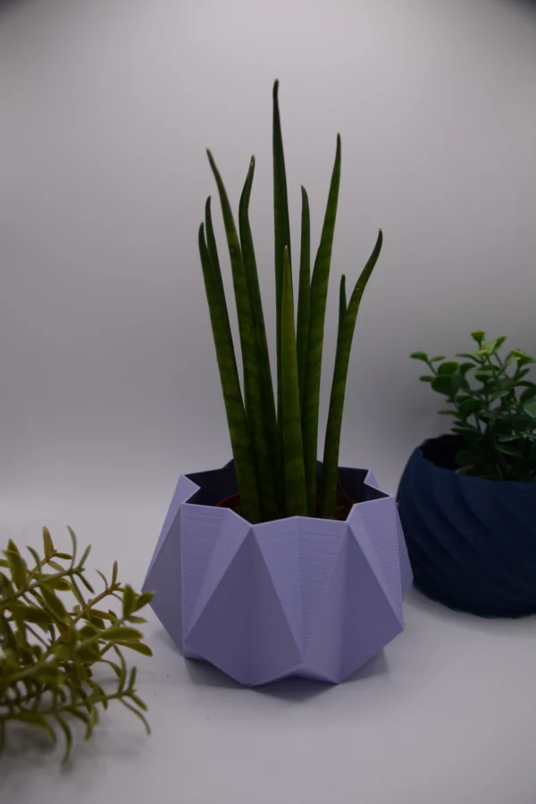 TETRA TETRA