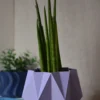 TETRA