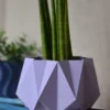 vaso TETRA